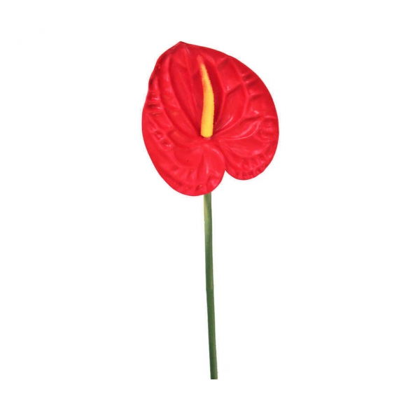Kırmızı Antoryum Çiçeği Tek Dal